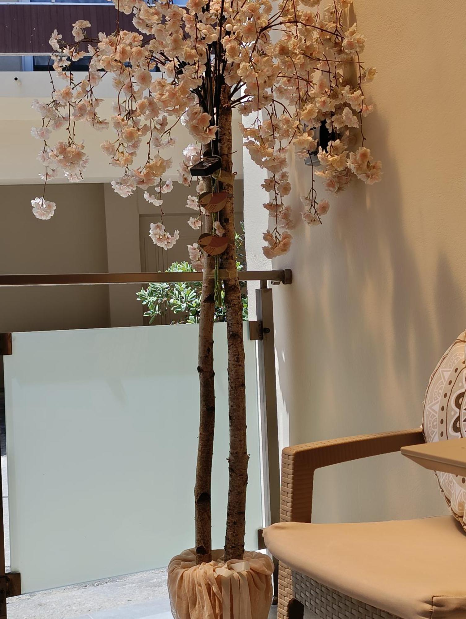 Apolafsi Apartments 2 New With Kitchen 하니아 외부 사진